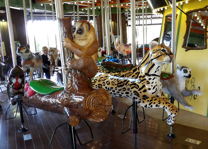 Click to display the next picture