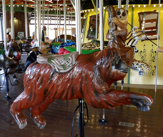 Click to display the next picture