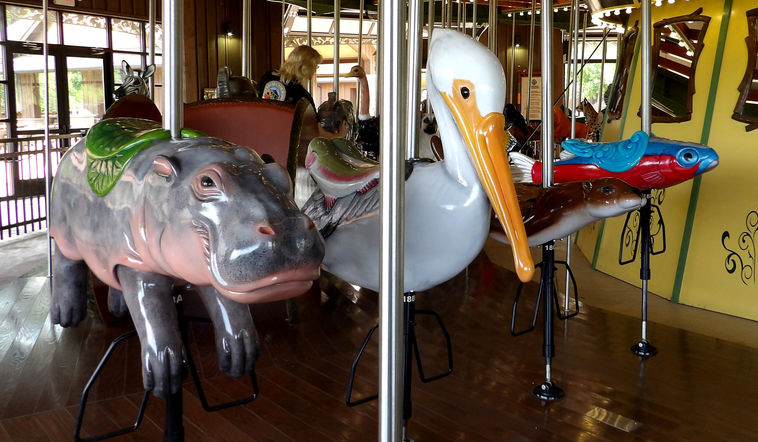 Click to display the next picture