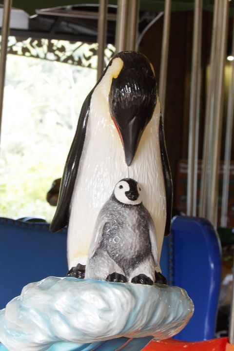 Click to display the next picture