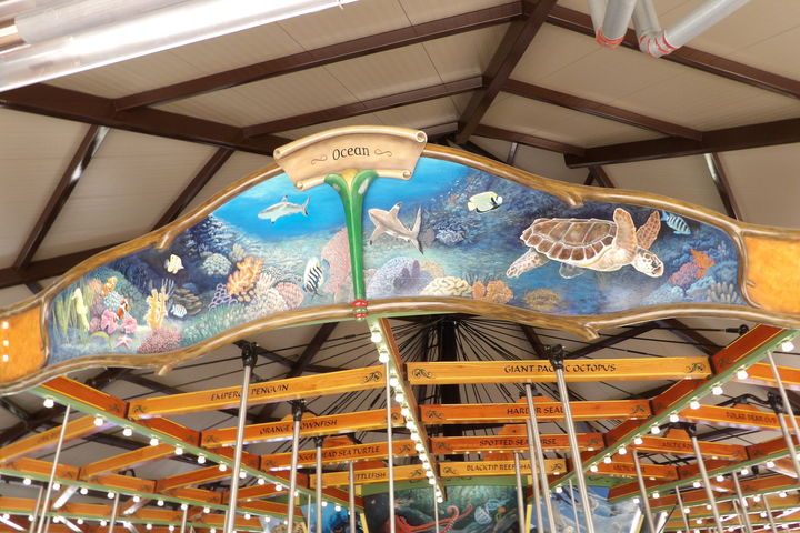 Click to display the next picture