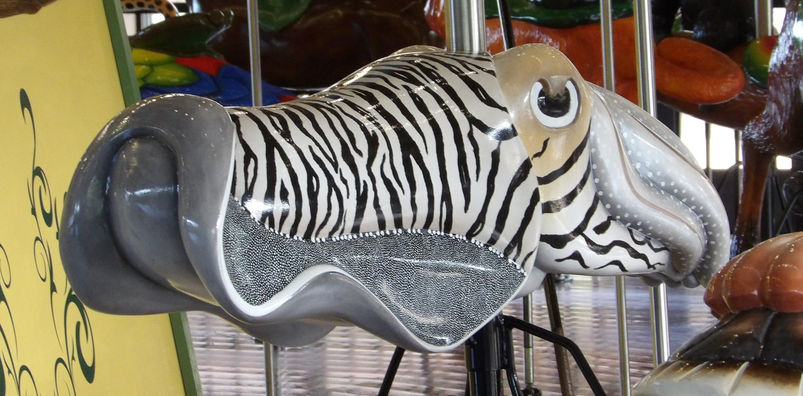 Click to display the next picture