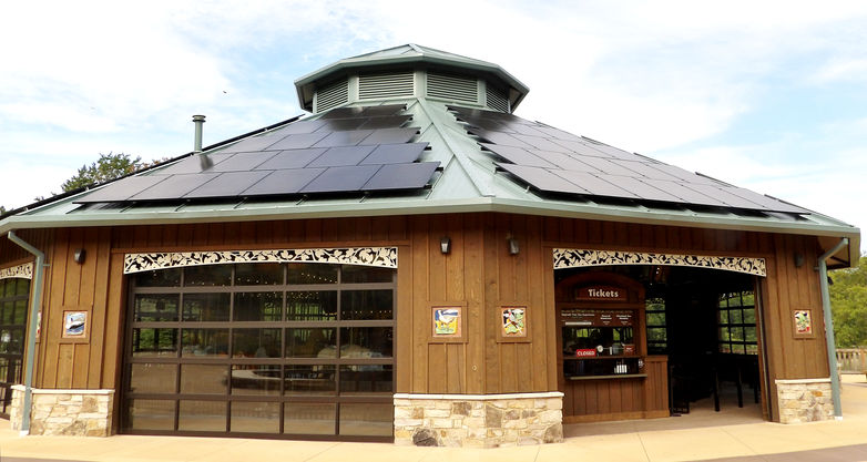 Click to display the next picture