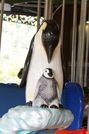 Carousel Works Penguins on an Ice Floe
