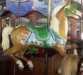Carousel Works 2nd Row Jumper