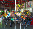 Illions Outside Row Jumper