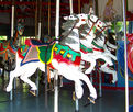 Illions Outside Row Jumper
