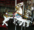 Illions Outside Row Jumper