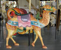 Looff Outside Row Camel