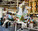 Dragon Horse Row