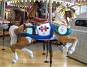 Carousel Works Jumper