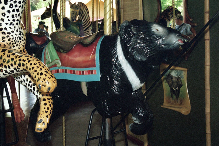 Click to display the next picture
