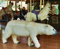 Three Polar Bears