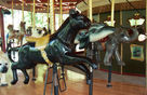 Black Leopard, Dolphin and Elephant