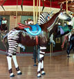 Outside Row Okapi