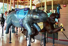 Hippo, Mandrill and Cassowary