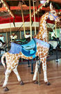 Outside Row Giraffe