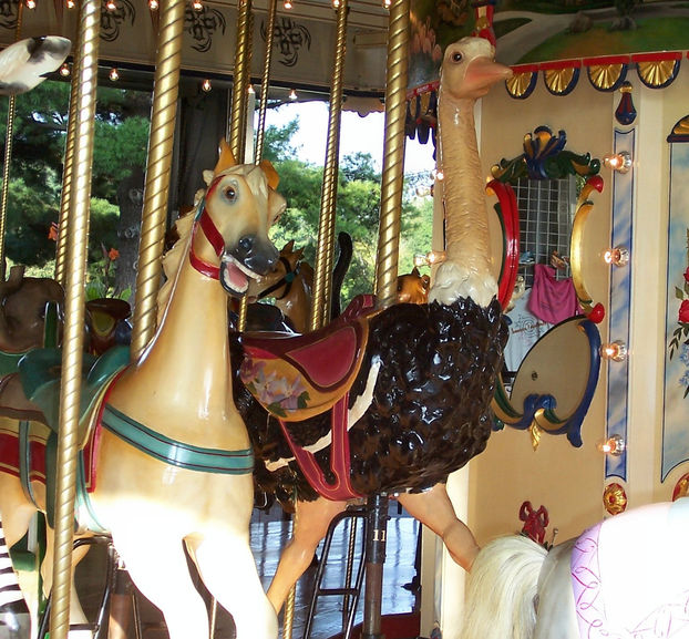 Click to display the next picture