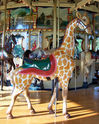 Carousel Works Giraffe