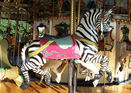 Carousel Works Zebra