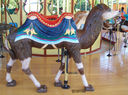 Detroit Zoo