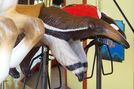 Carousel Works Anteater