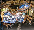 Fluer de Lis Horse