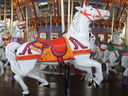 Dentzel Jumper