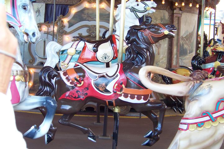 Click to display the next picture