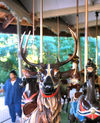 Muller Elk Head Detail