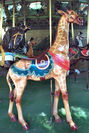 Looff Outside Row Giraffe