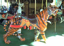Dentzel Outside Row Tiger