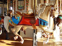 New Wood Jumper