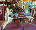 Parker Outside Row Jumping Armored Flaghorse