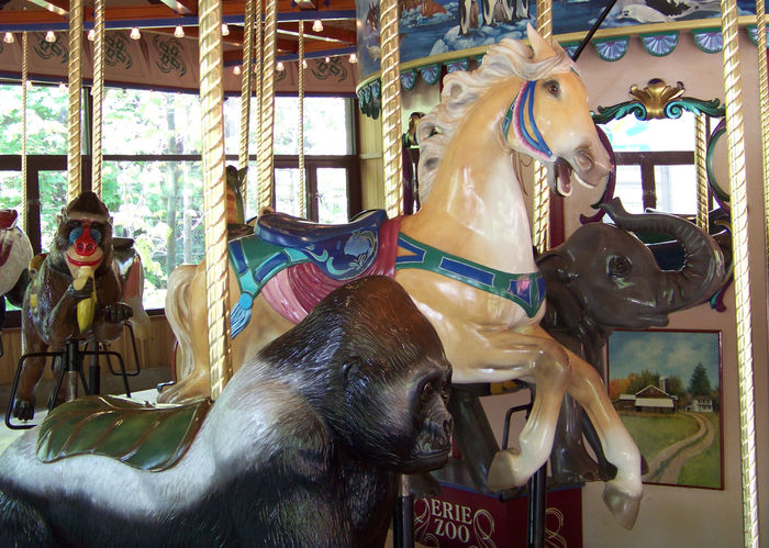 Click to display the next picture