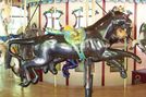Carousel Works Black Leopard