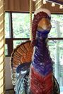 Turkey Detail
