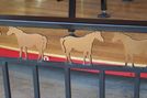 Horse Railing