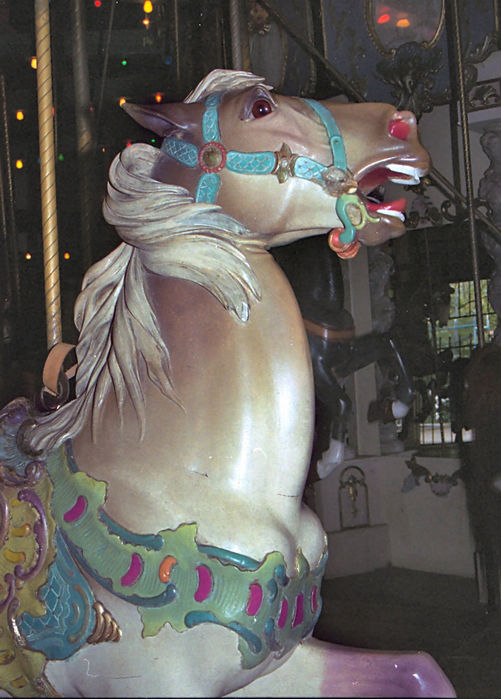 Click to display the next picture