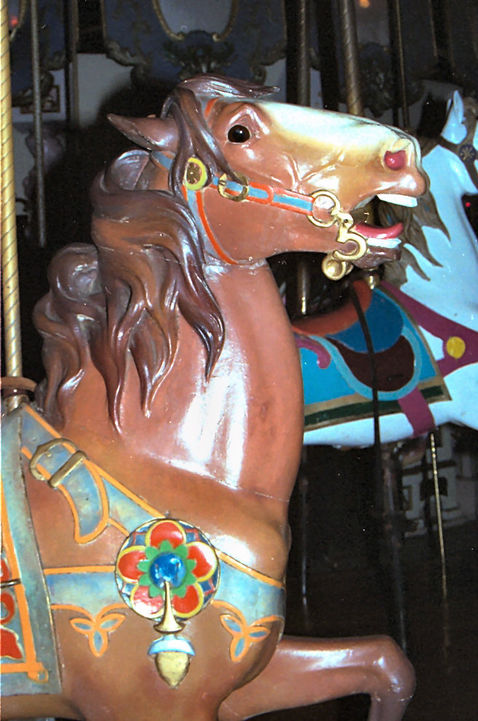 Click to display the next picture