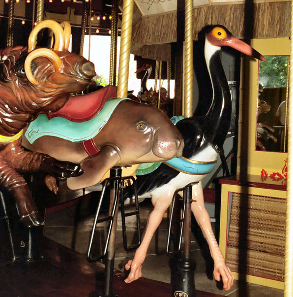 Click to display the next picture