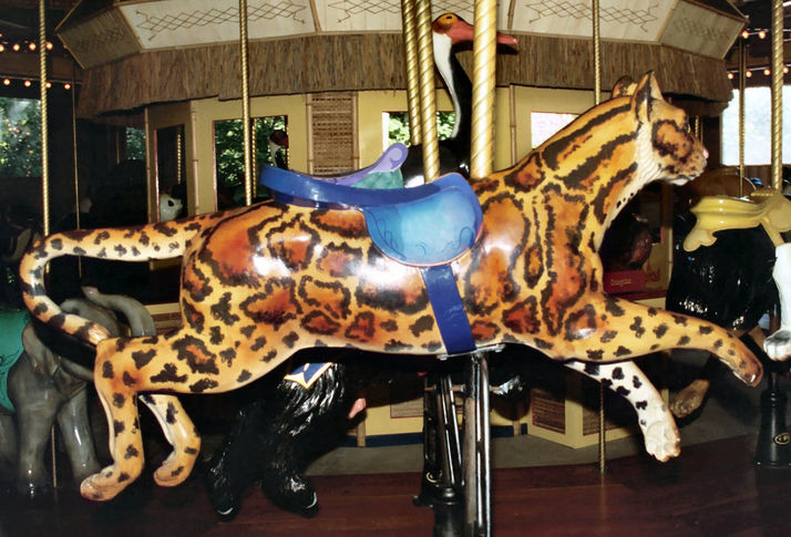 Click to display the next picture