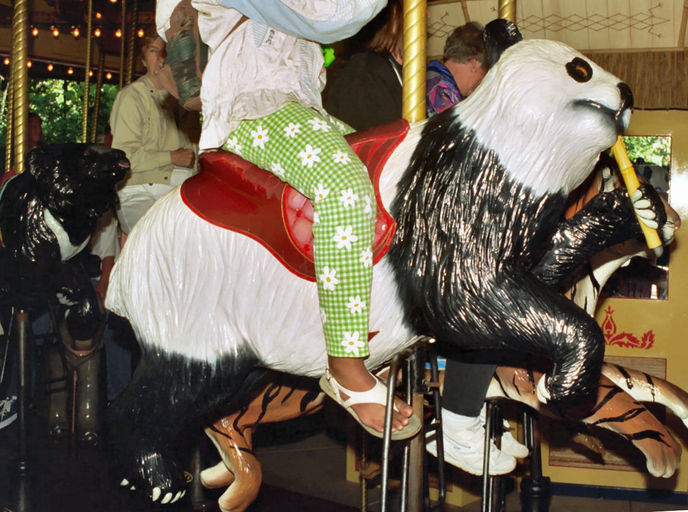 Click to display the next picture