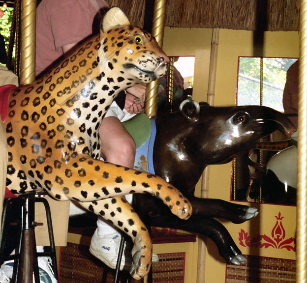 Click to display the next picture