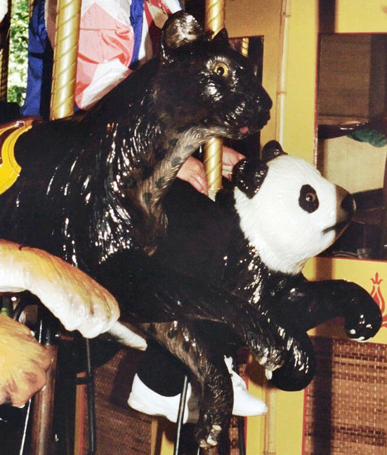 Click to display the next picture