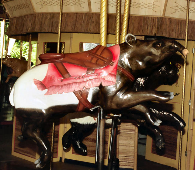 Click to display the next picture