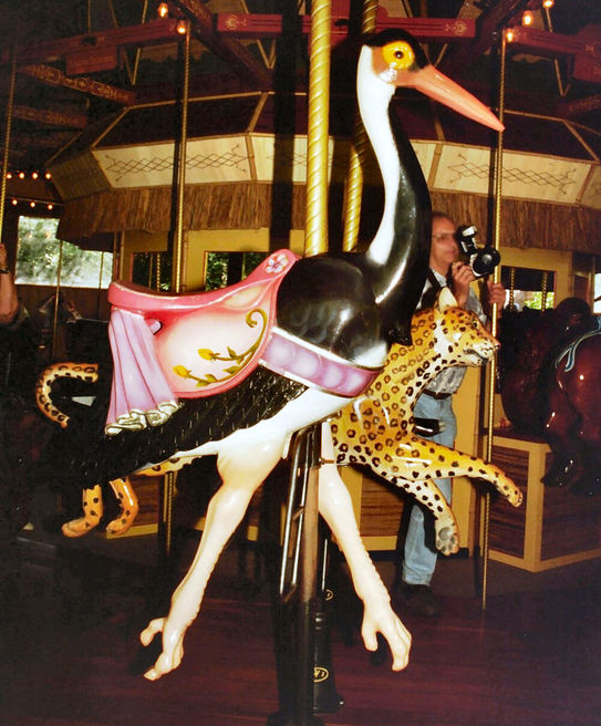 Click to display the next picture