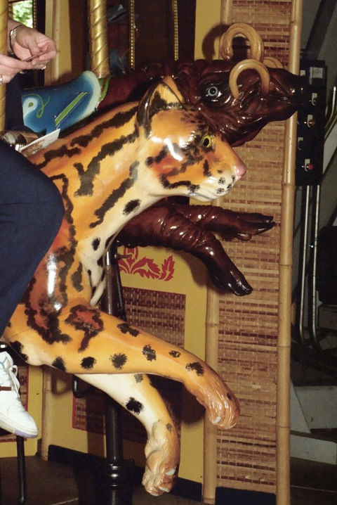 Click to display the next picture