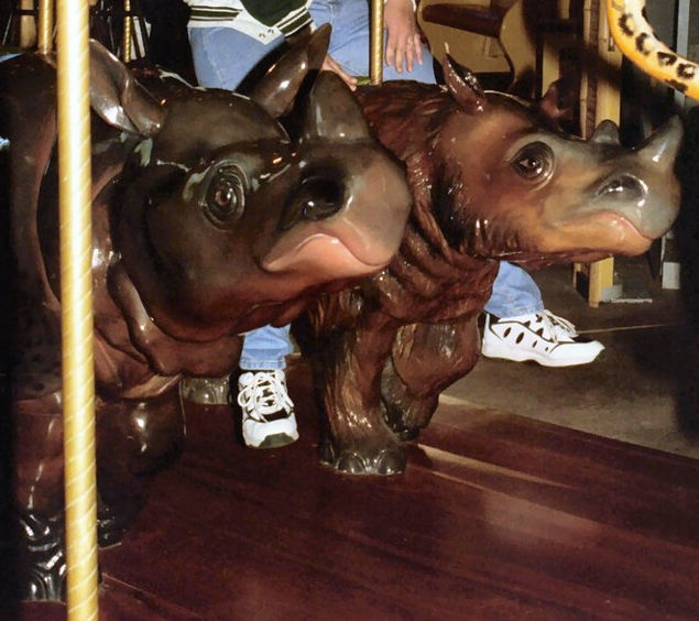 Click to display the next picture