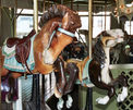 Allan Herschell 2nd and 3rd Row Jumpers